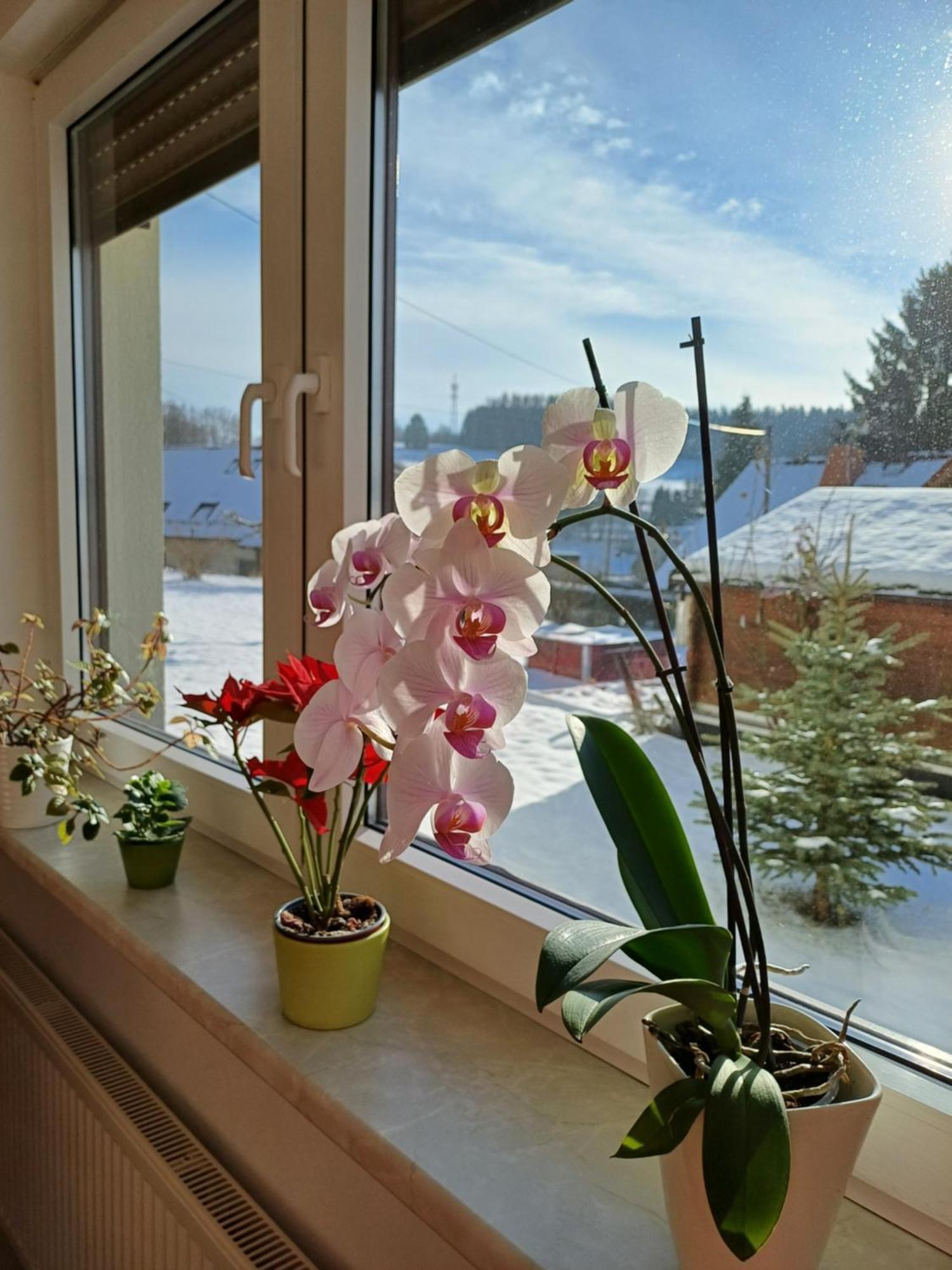 Thueringer Zimmer Suhl Bagian luar foto