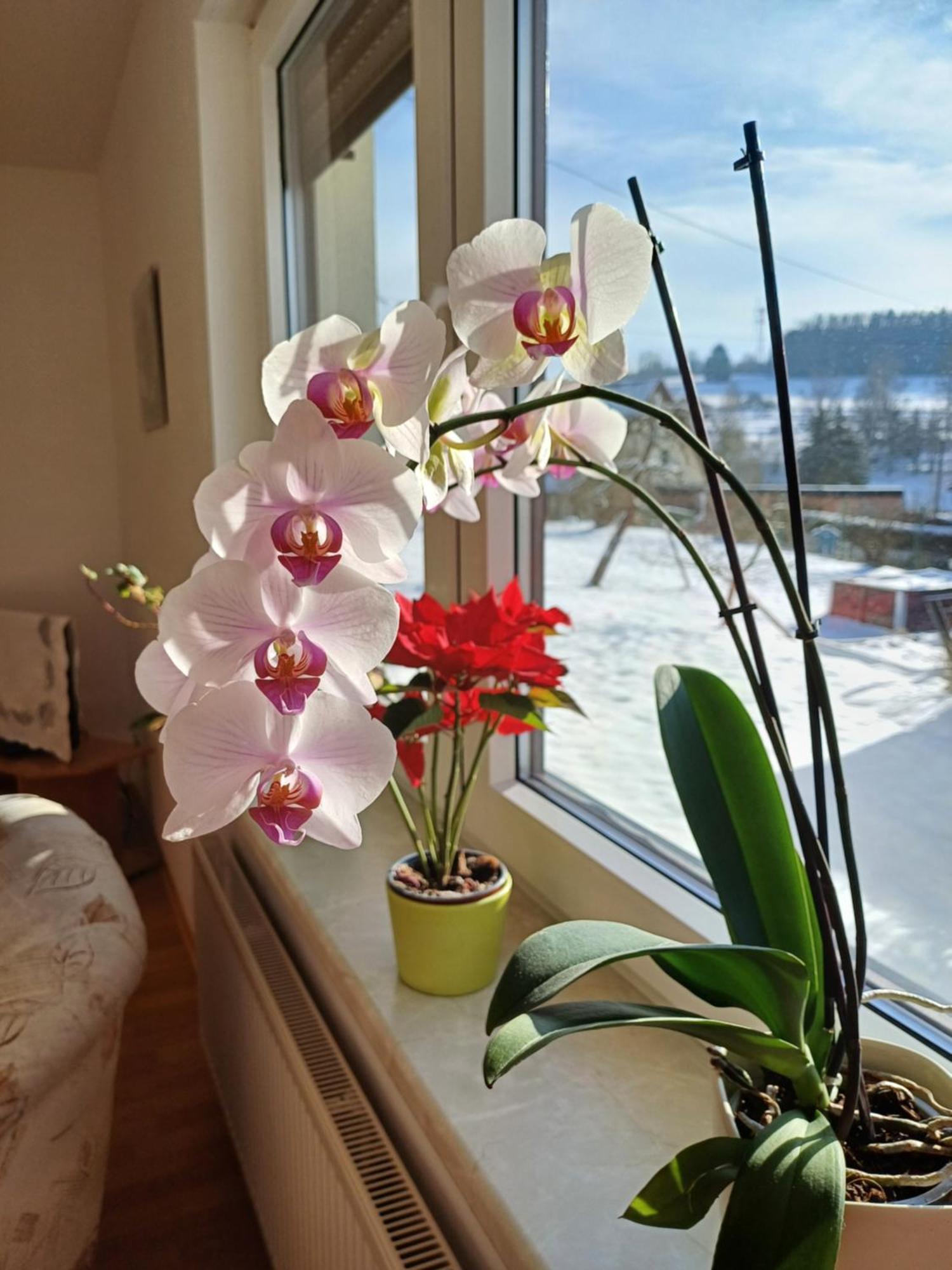 Thueringer Zimmer Suhl Bagian luar foto