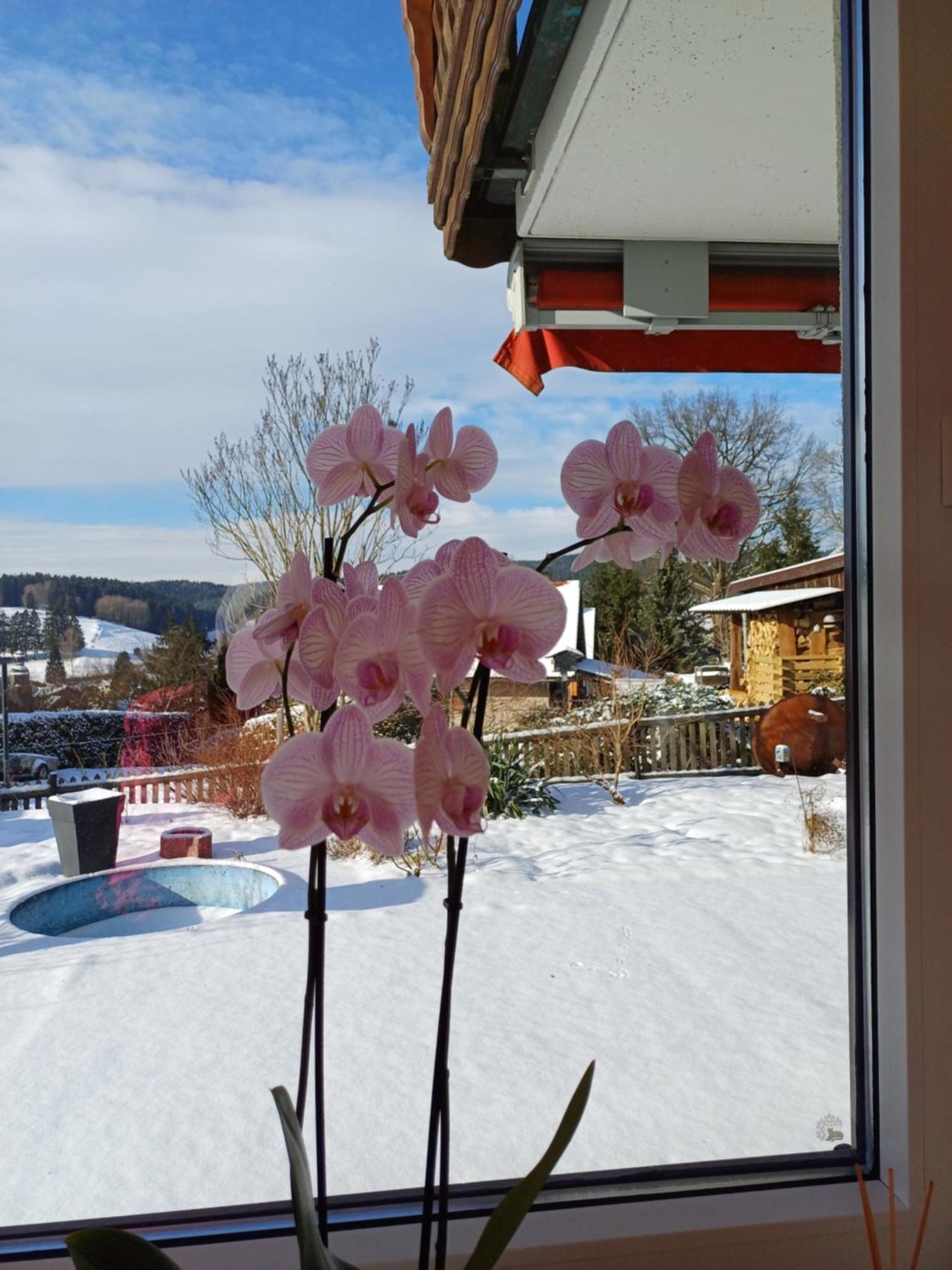 Thueringer Zimmer Suhl Bagian luar foto